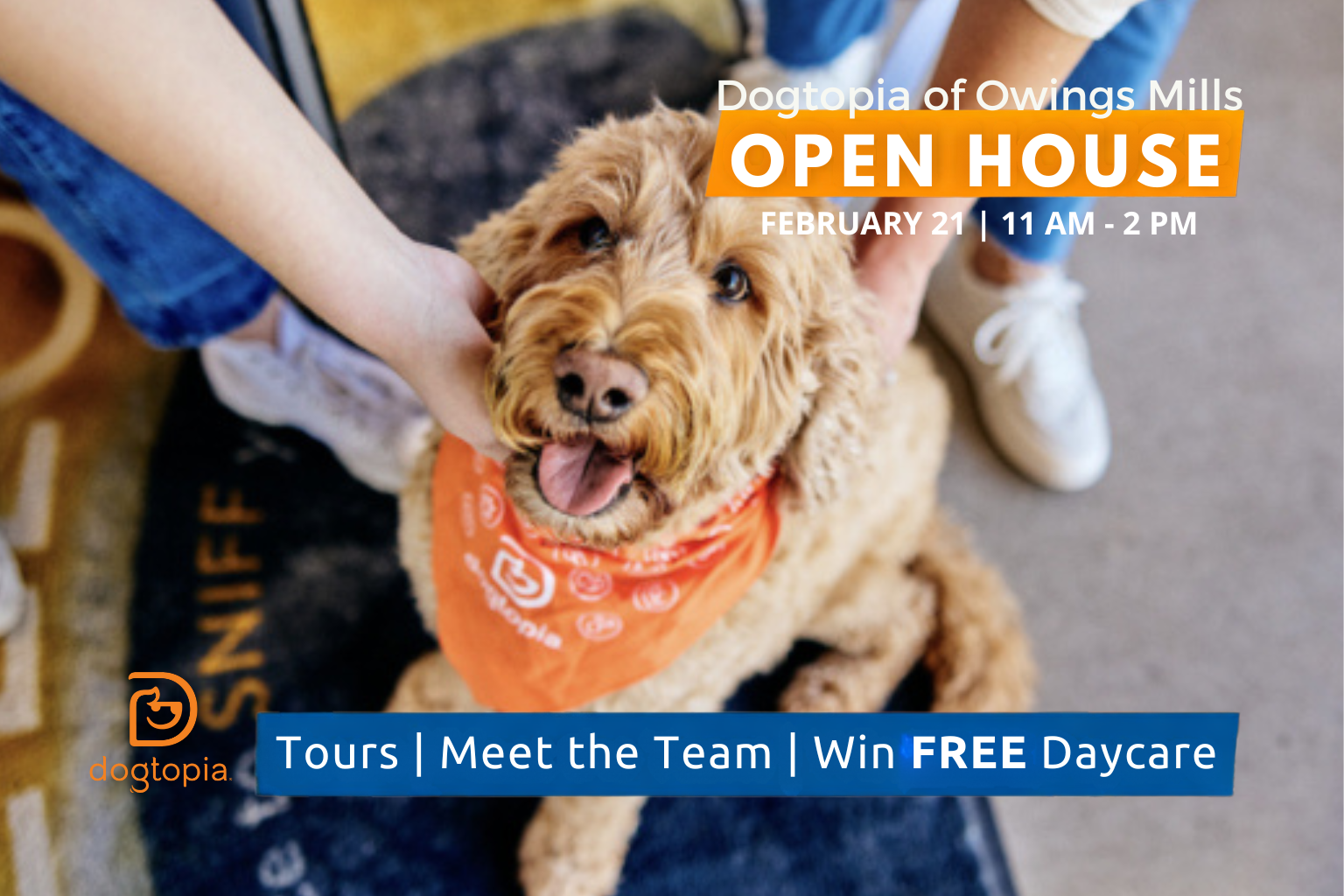 Dogtopia of Owings Mills Open House promotional graphic featuring a happy tan dog wearing an orange Dogtopia bandana, with event details reading “Open House February 21, 11 AM–2 PM” and “Tours | Meet the Team | Win FREE Daycare,” plus the Dogtopia logo in the bottom left.